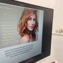 다미에스테틱 이미지