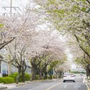 위미2리 마을회관 이미지