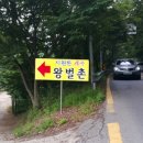 왕벌촌