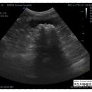 도담동물의료센터 이미지