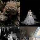 더BetterDay | [베러데이스냅] 본식 아이폰스냅 계약후기