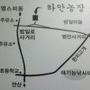 마당영양탕