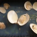 바다주유소 이미지