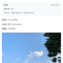 동학사힐링캠핑장 이미지