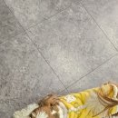 성우식육식당 | [구미 송정동] 요넥스 배드민턴 스트링 맡기고 배드미턴 용품 구매 내돈내산 후기