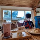 보리수카페 이미지