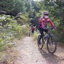 백양농장 이미지