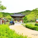 무위사 주차장 이미지