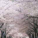병산로 이미지