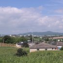 상주교 Daum카페