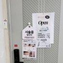 루리스킨