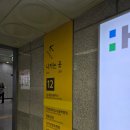 파인에비뉴 | 을지로중식 딤섬이 맛있는 '바오차이' 후기 / 을지로3가 파인에비뉴