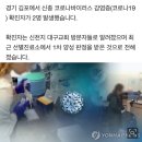 김포서 코로나19 확진자 2명 발생…신천지 대구교회 예배 참석한 듯 이미지