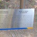 홍촌마애승상 이미지