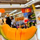 (유)동화택시 | 삿포로 버스투어 비에이 할인 예매 겨울 11월 12월 준페이 식사