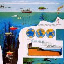 노아의방주 이미지