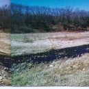 꿈의 동산 이미지