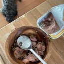 마루한동물병원 이미지