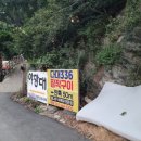 다대336장작구이