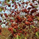 이학로농장 이미지