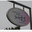 자연애 염색