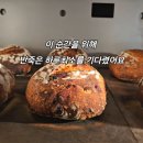 라그노 이미지