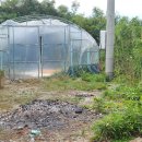 강미진공인중개사사무소 이미지