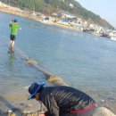 신진대교아래 안흥항 이미지