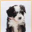 24시큰사랑동물병원 이미지