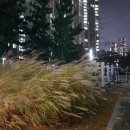 도란도란어린이공원 이미지