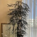 동양산모터스 이미지