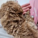 진해동물의료센터 이미지