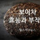 다이어트 보이차 보이차 성분 카페인 함량 이미지