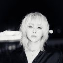 타이거릴리엔터테인먼트