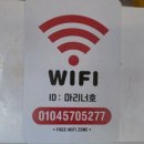 거제 한치낚시 추천 마리너호 출조 후기｜지세포항 선상낚시 한치 손맛