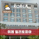 Nine Tea 1 PC 카페 | 성남 위례 밀리토피아 바이 마린 호텔 숙박 후기 피트니스 수영장 완비