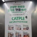 캣플헤븐 앨리웨이 광교점 네이버블로그