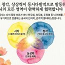 우리 아이 타고난 뇌를 바꾸는 마법: 습관형성 | 아이의 잠재력을 깨우는 뇌과학의 비밀
