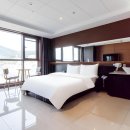 브라운 도트 이미지