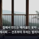 논산농약마트 | 집에서 만드는 메리골드 꽃차 레시피 — 건조부터 우리는 법까지
