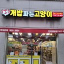 개밥파는고양이 네이버블로그