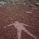 골드워시 이미지