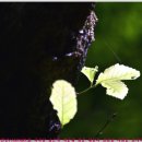 서암주차장 이미지