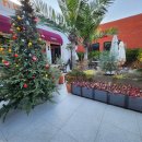 본본레스토랑 이미지