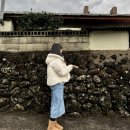 제주돌집 탱자싸롱 | [DAY1] 12월 겨울 귤섬, 제주 🍊