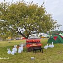 나주영산포철도공원 이미지