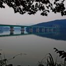 동백코스(서천-군산) 이미지