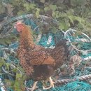 곤우선착장 이미지