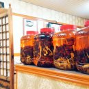 남해복어 이미지