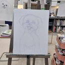 직장인 취미활동 추천 | 반려동물 그림, 사랑스러운 강아지 아크릴화 그리기
